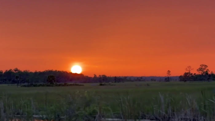 Florida's $10K python challenge: One night with the hunters chasing the Everglades' biggest threat