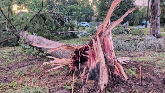Powerful storm tears through Ocala, knocks out power and leaves trail of damage
