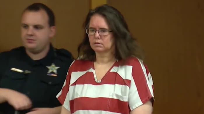 ‘I can jump into the judge:’ Hearing focuses on Lake County deputy ambush suspect’s competence