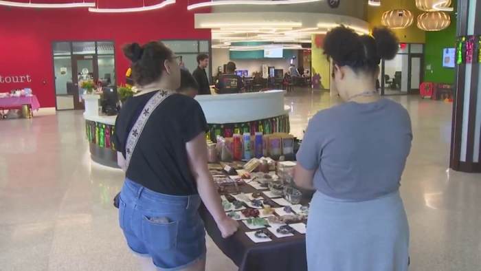 Roanoke’s Juneteenth expo spotlights small businesses, community connections at Melrose Plaza