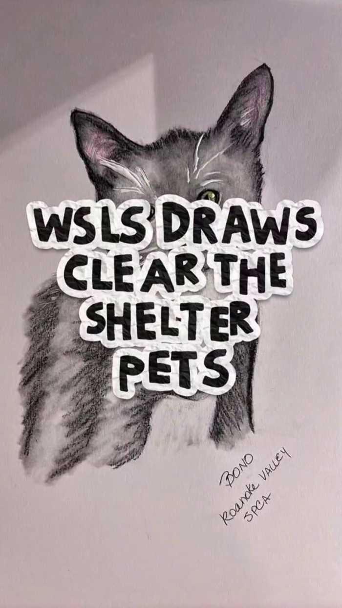WSLS draws Clear the Shelters pets