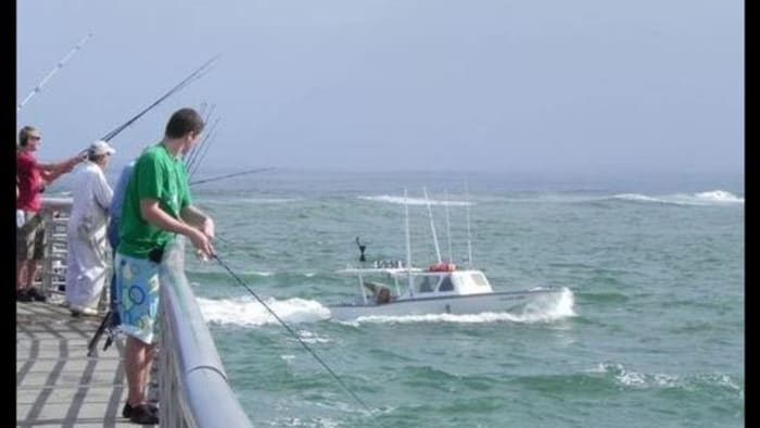 Sebastian Inlet fishermen defecating on pier to mark territory