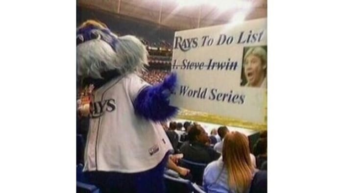 Tampa Bay Rays apologize for mascot holding offensive sign