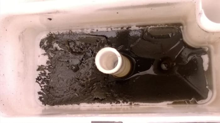 Can Ice Machines Get Mold? - SC Beverage - Blog