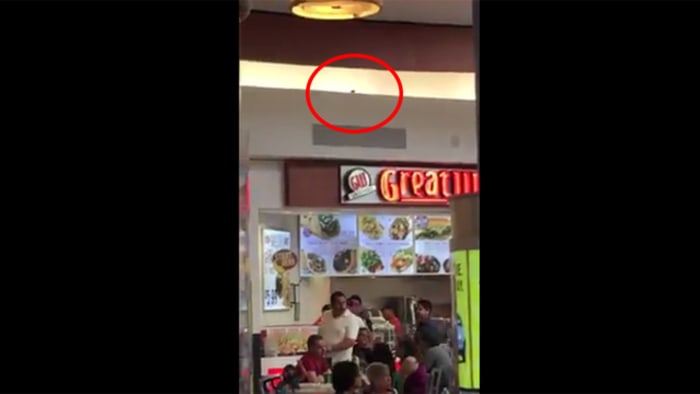 VIDEO: Social media post claims to show rodent running through Baybrook
