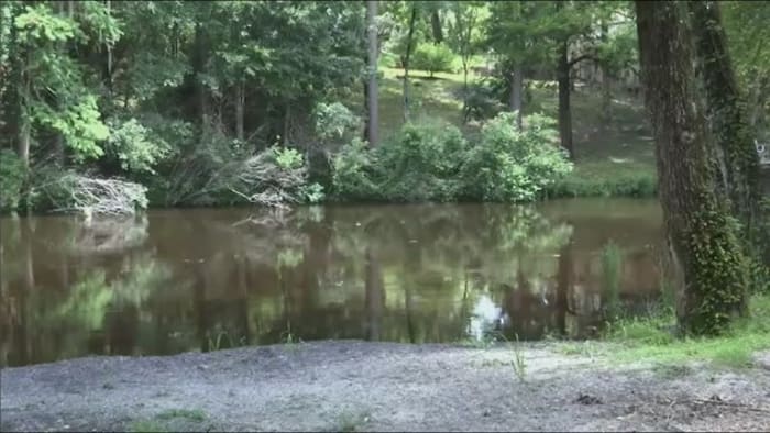 Black Creek Water Level