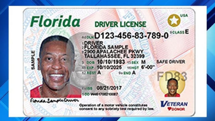 Florida to begin providing mobile driver licenses next year - WINK