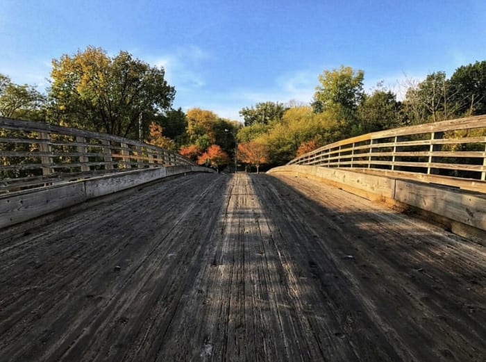 City of Ann Arbor to open disc golf courses, dog parks, more starting