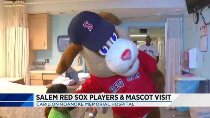 2015 Salem Red Sox Mugsy Mascot