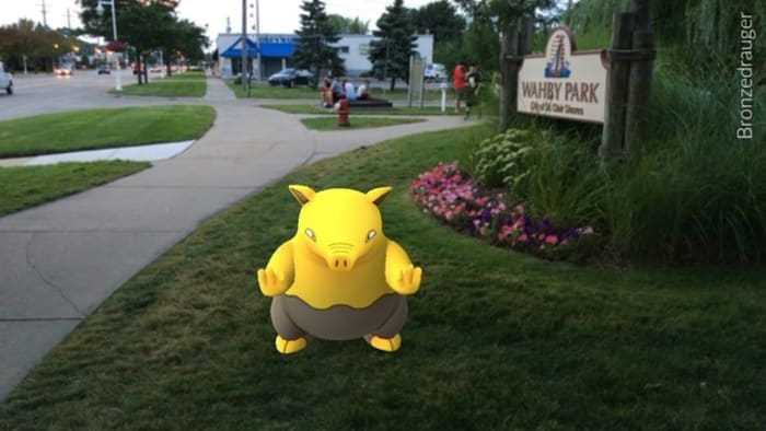 Pokémon Club  Beyond the Nest (Rochester)