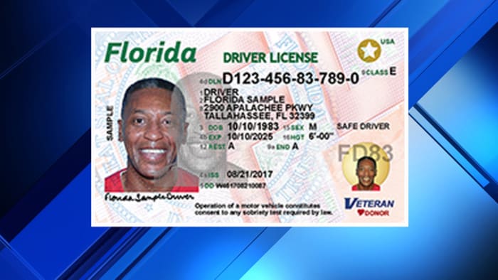 Florida driver's licenses get new look 