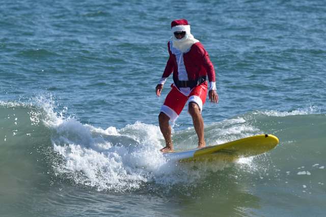 Christmas in Florida: Chilly forecast, falling iguanas