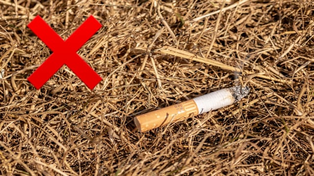 fire safety cigarette tips for smokers Smoking safety | Humberside Fire