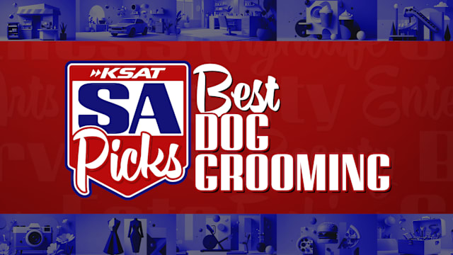 Best Dog Groomer San Antonio: Top Trusted Grooming Services