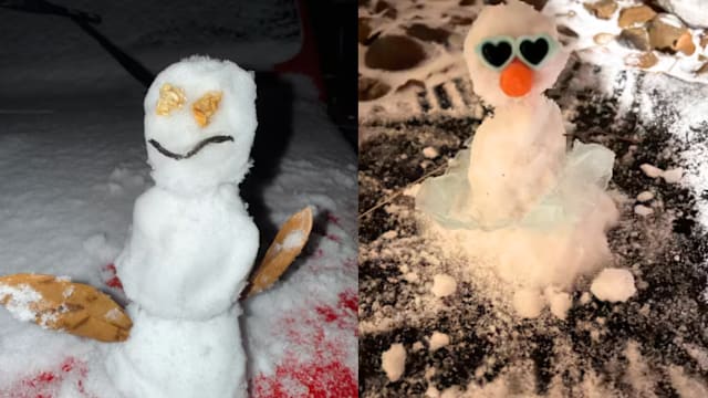 Snow much fun! Houston-area folks show off their best