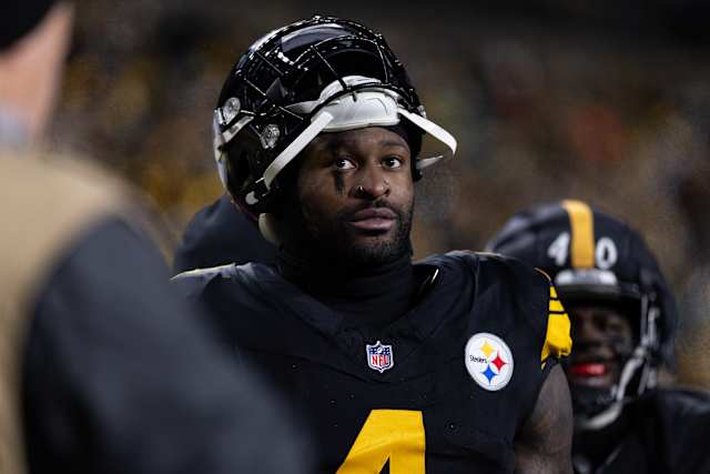 Steelers WR DK Metcalf takes swing at Lions fan in stands