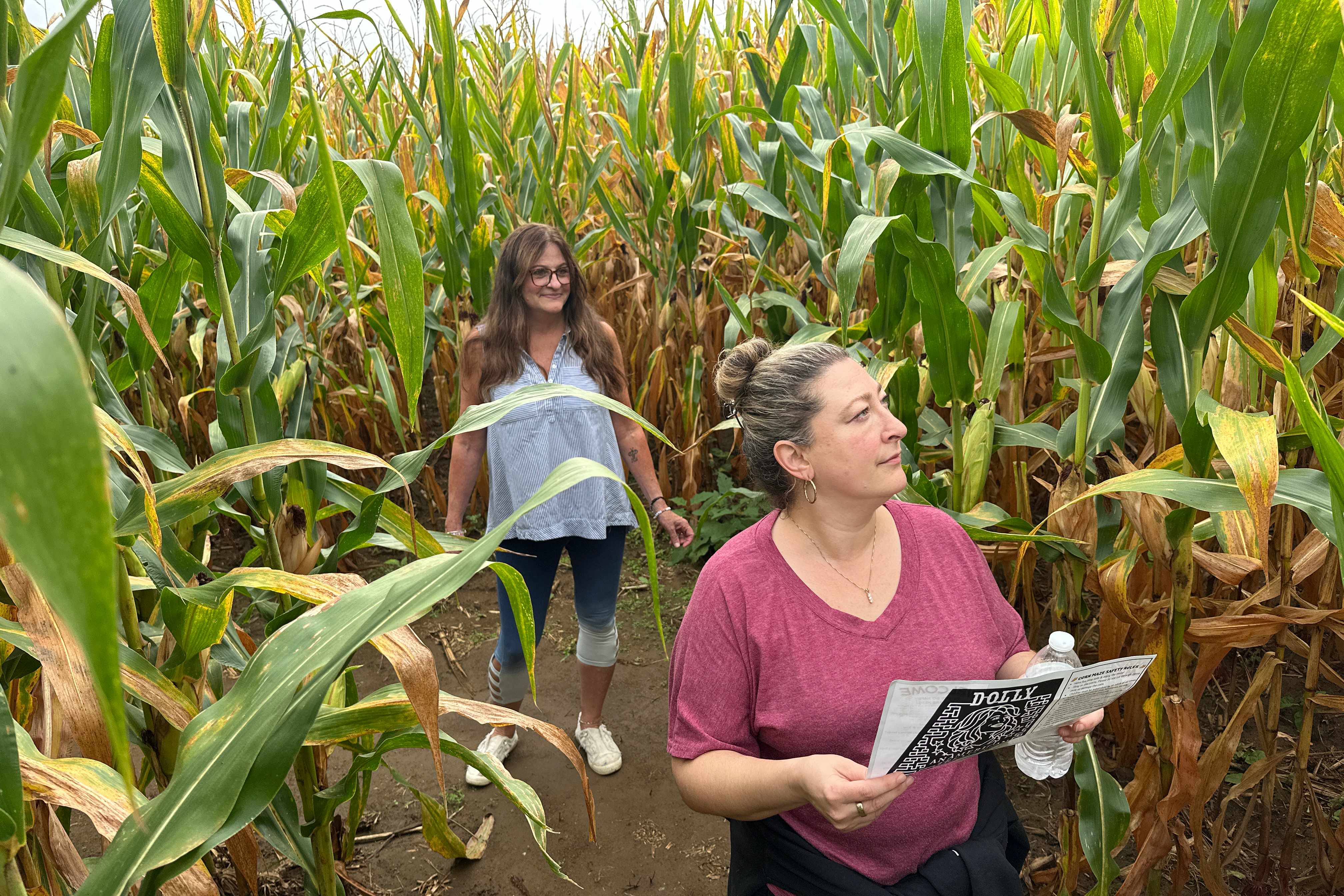 Aw shucks: Dolly Parton corn mazes crop up in fields nationwide