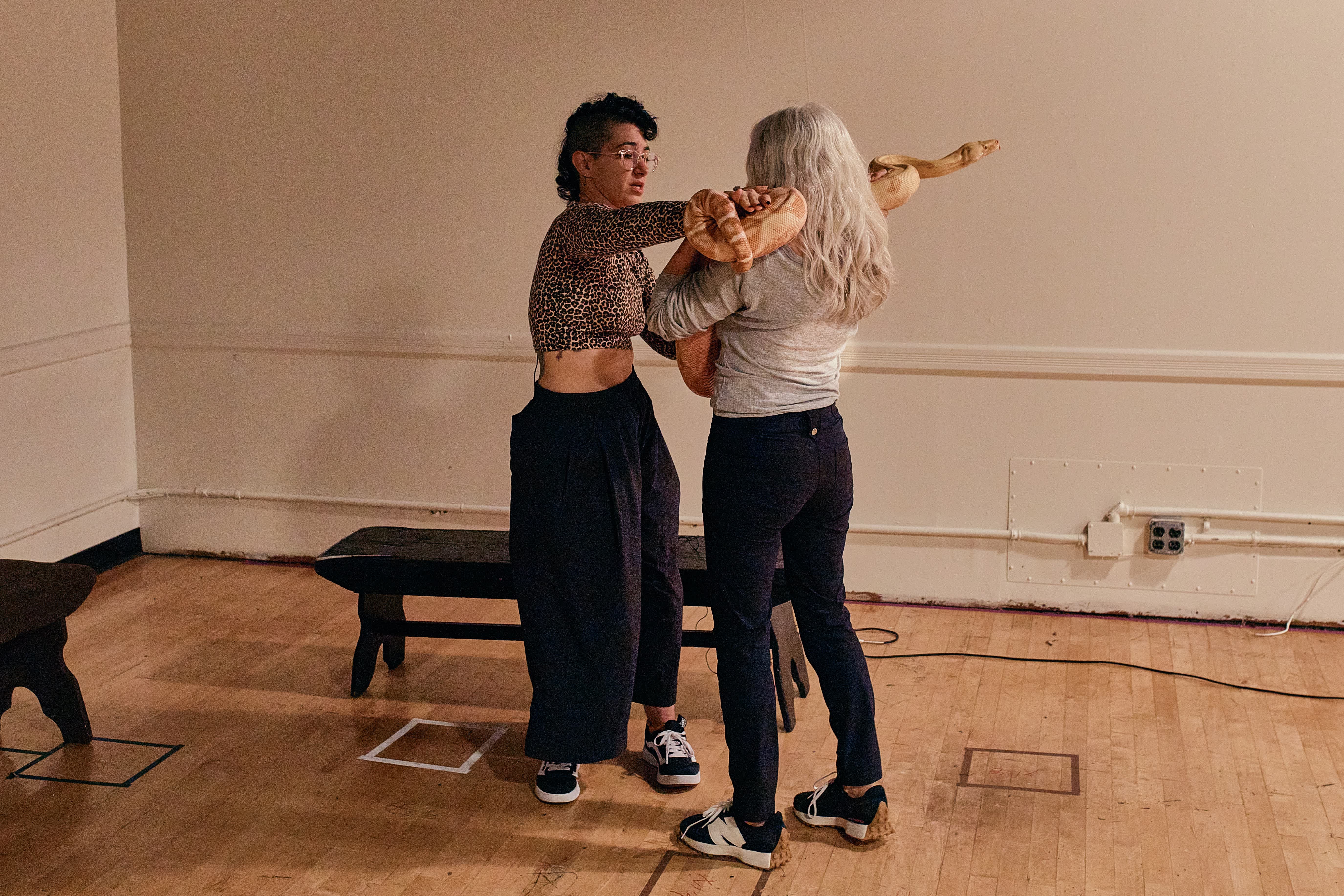 Even snakes have to audition for the opera at the Met. Princess the boa constrictor got the part