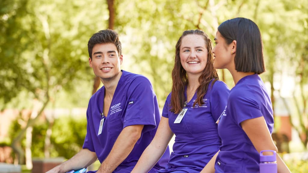 Group of Missouri ABSN students in purple scrubs talking with each other outside