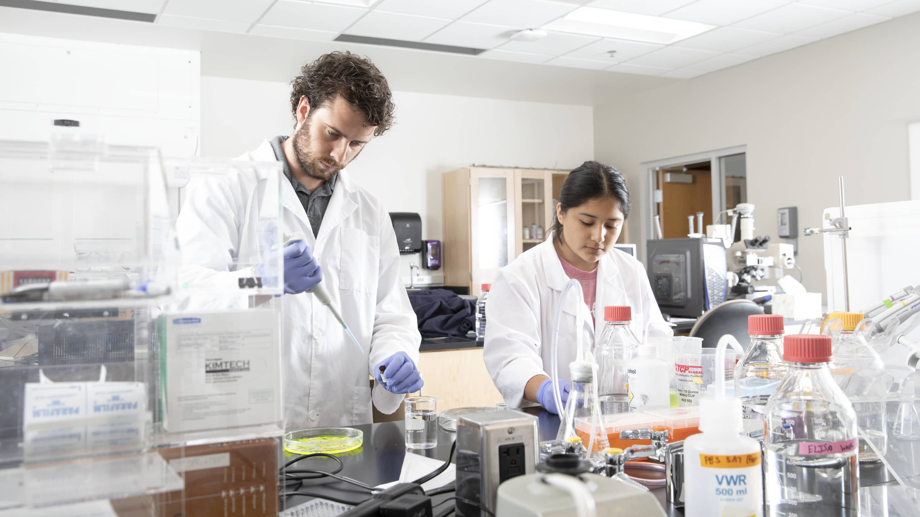 Pathologists working in a lab