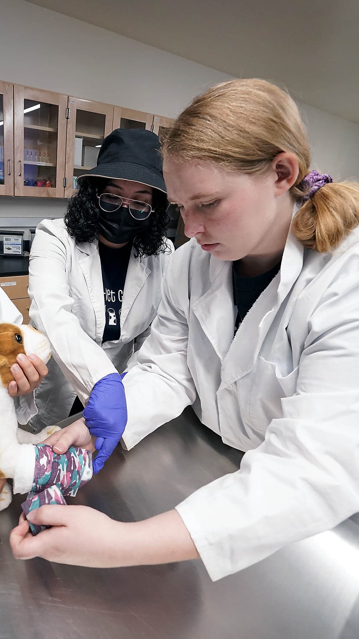 Students operating on a stuffed dog animal