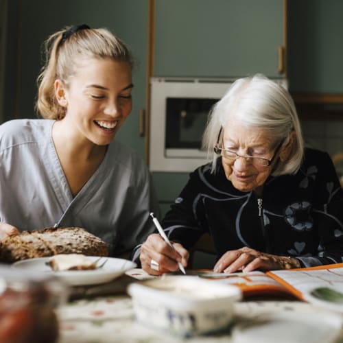 Young female social worker with elderly client.