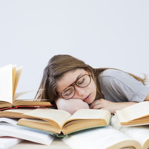 Student falls asleep while studying