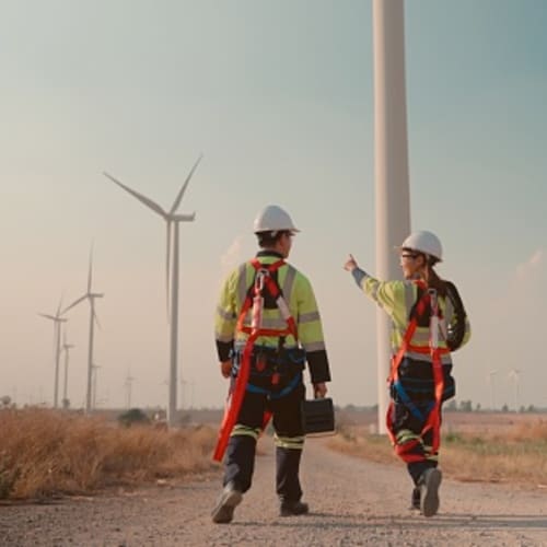 Two engineers checking out windmills.