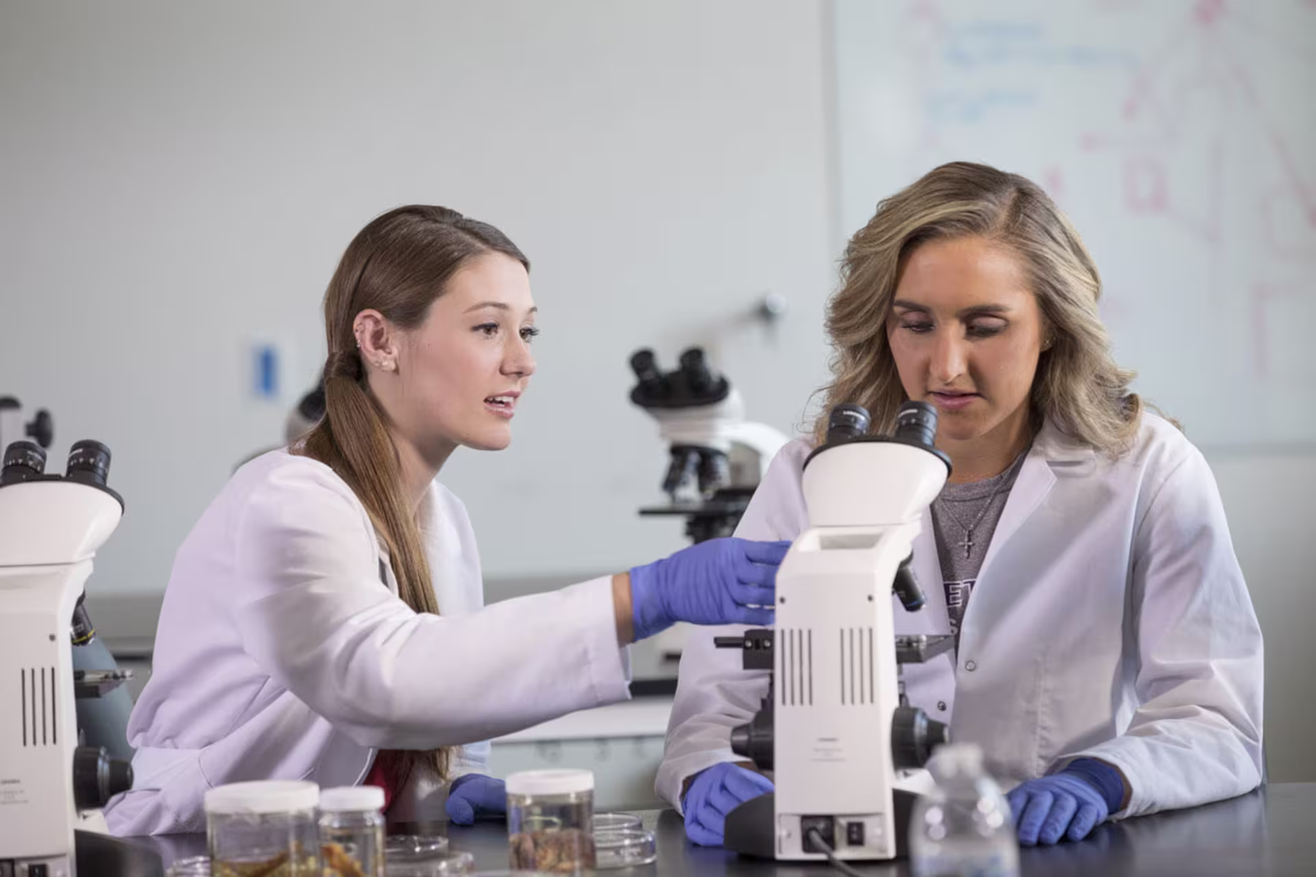Female MS Biology students collaborating and examining specimens