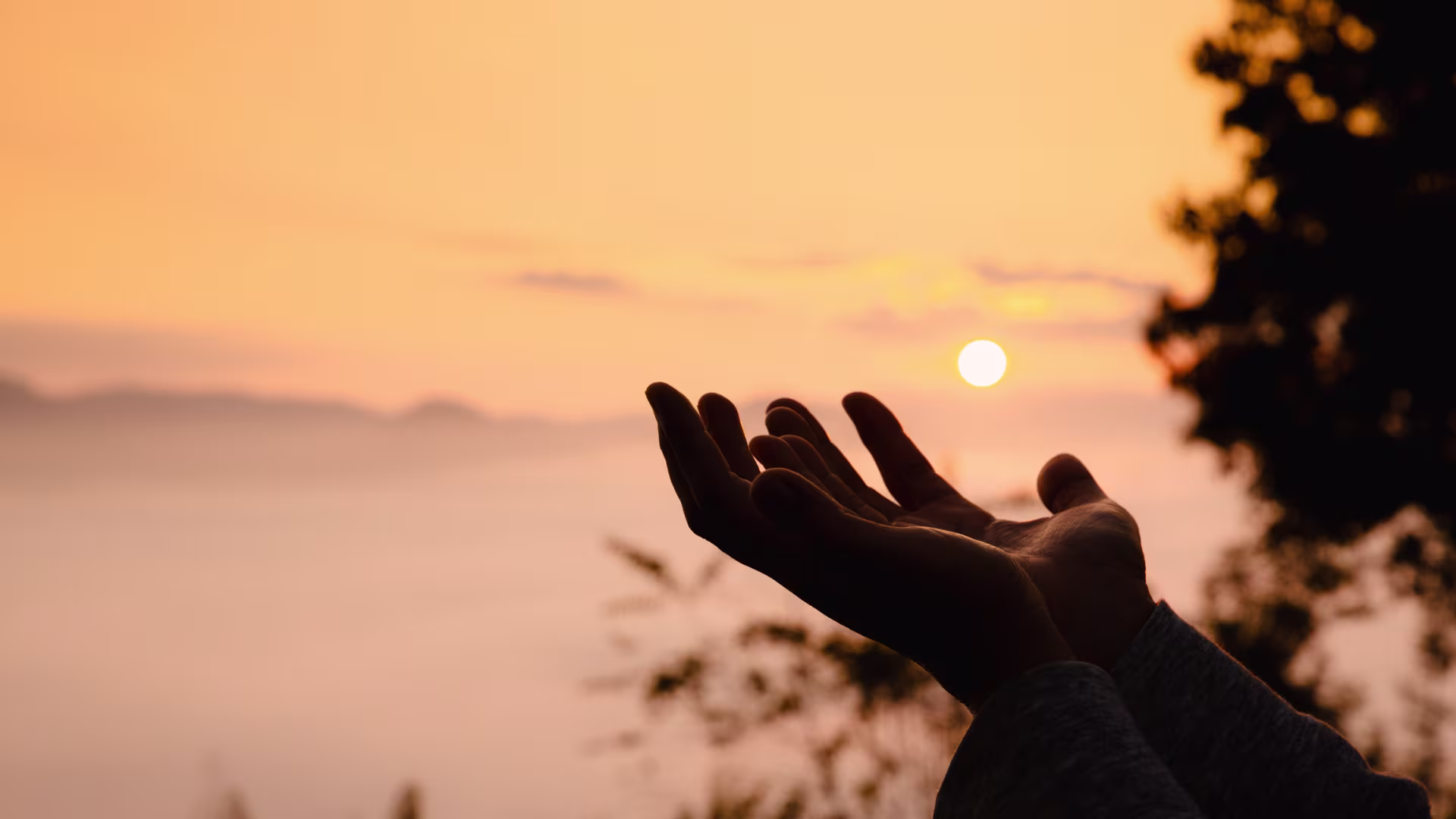 Hands raised in prayer in front of sunset overlook.
