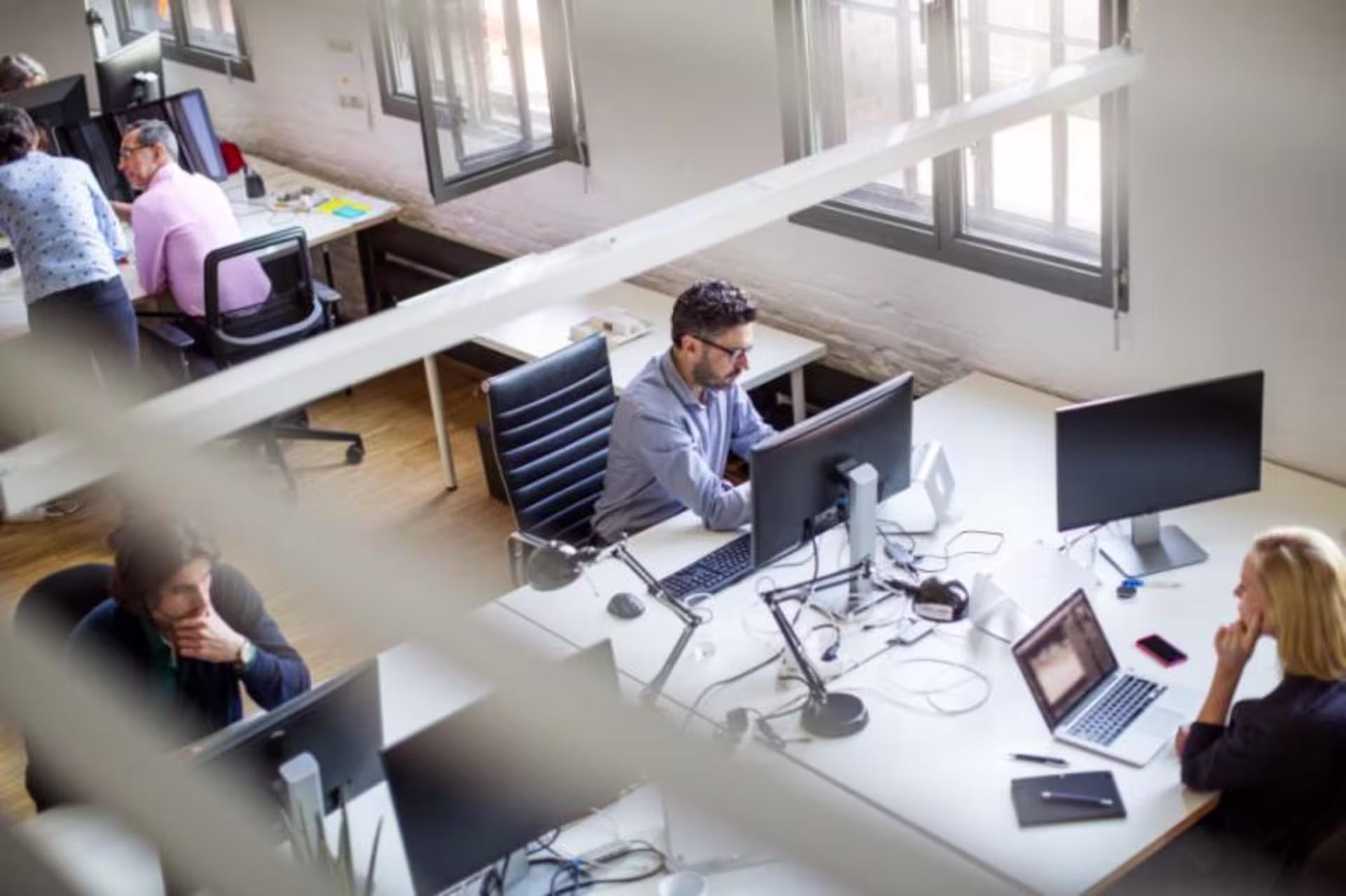Employees working in cubicles