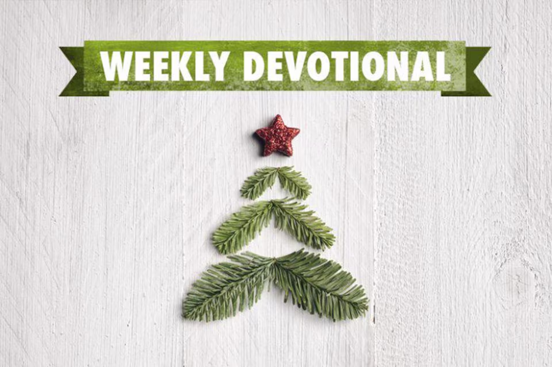 Weekly Devotional: Christmas tree stock image