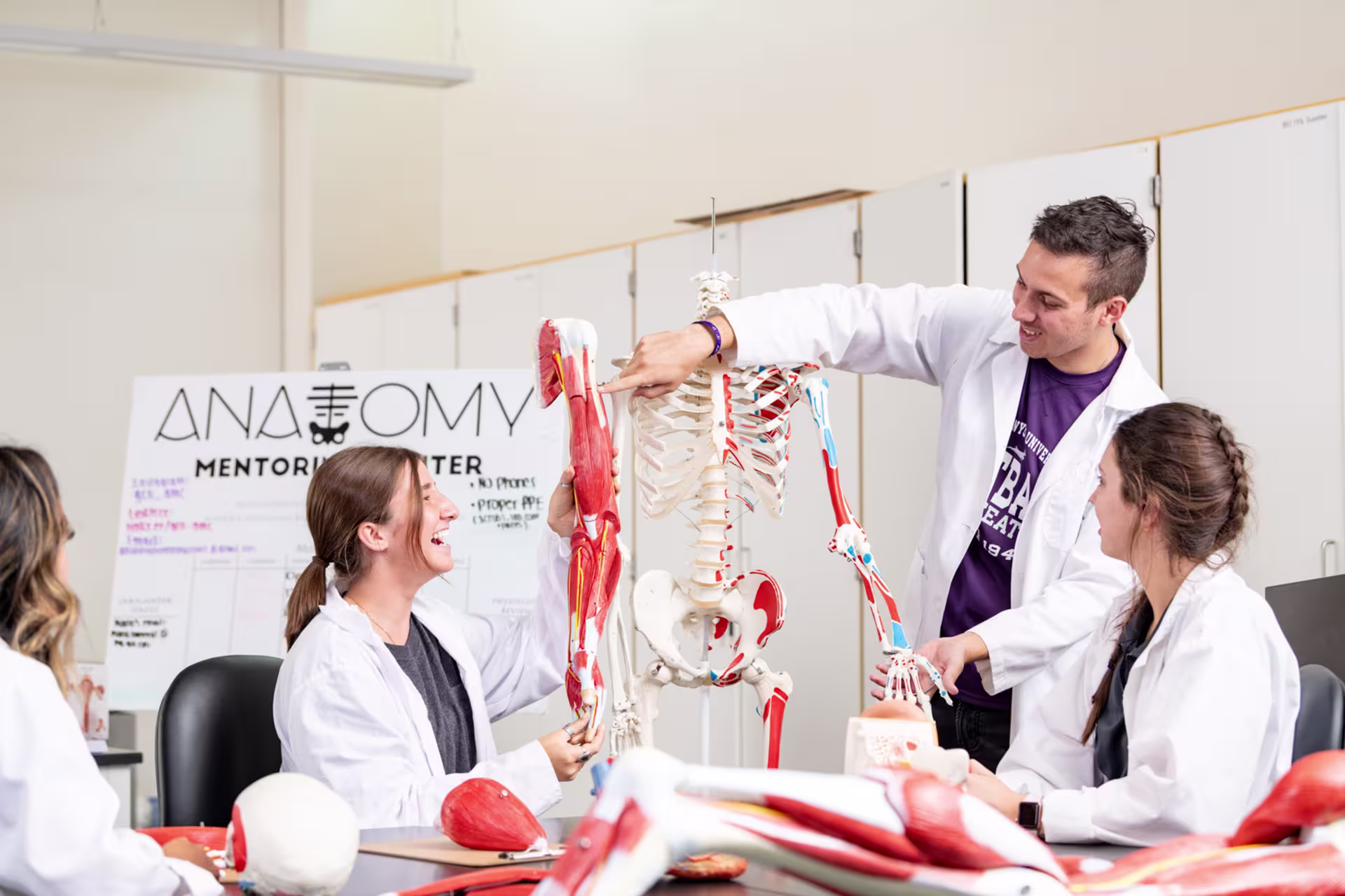 Group of science degree students in anatomy class with skeleton