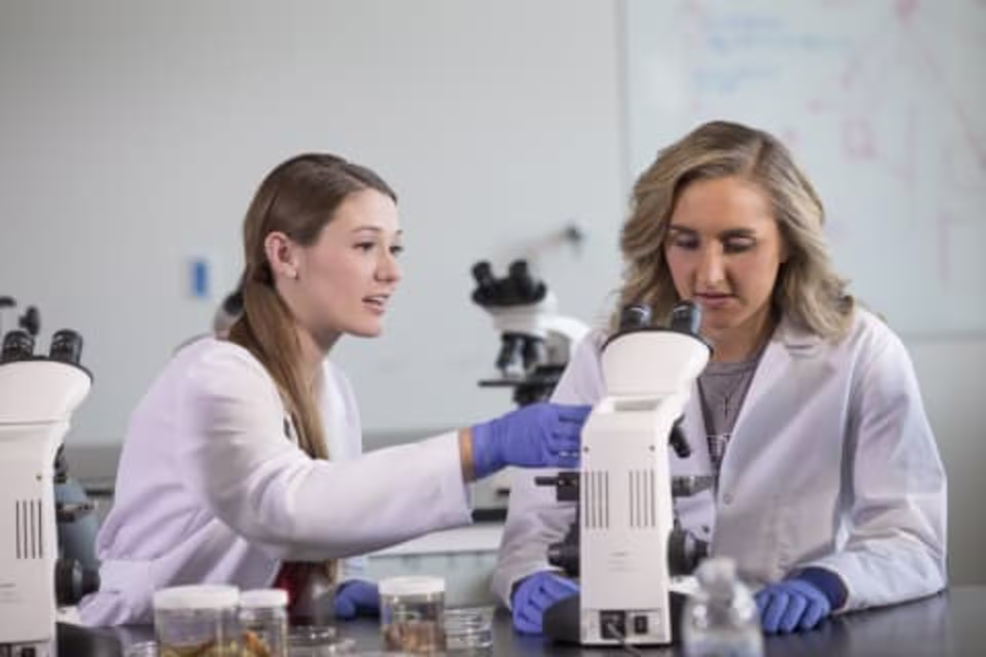 Two environmental science students using a microscope 