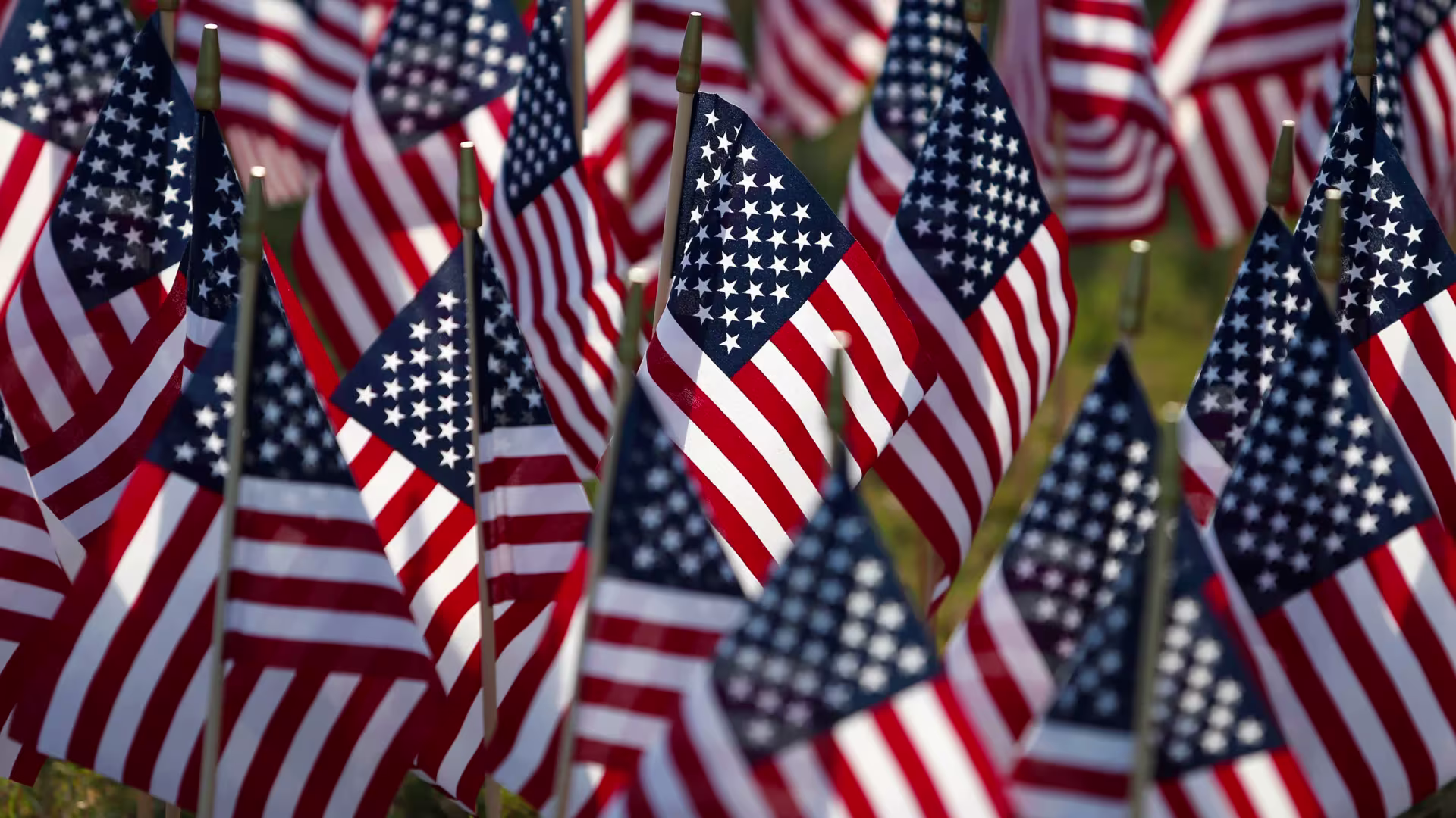 Photo of field of united states flags