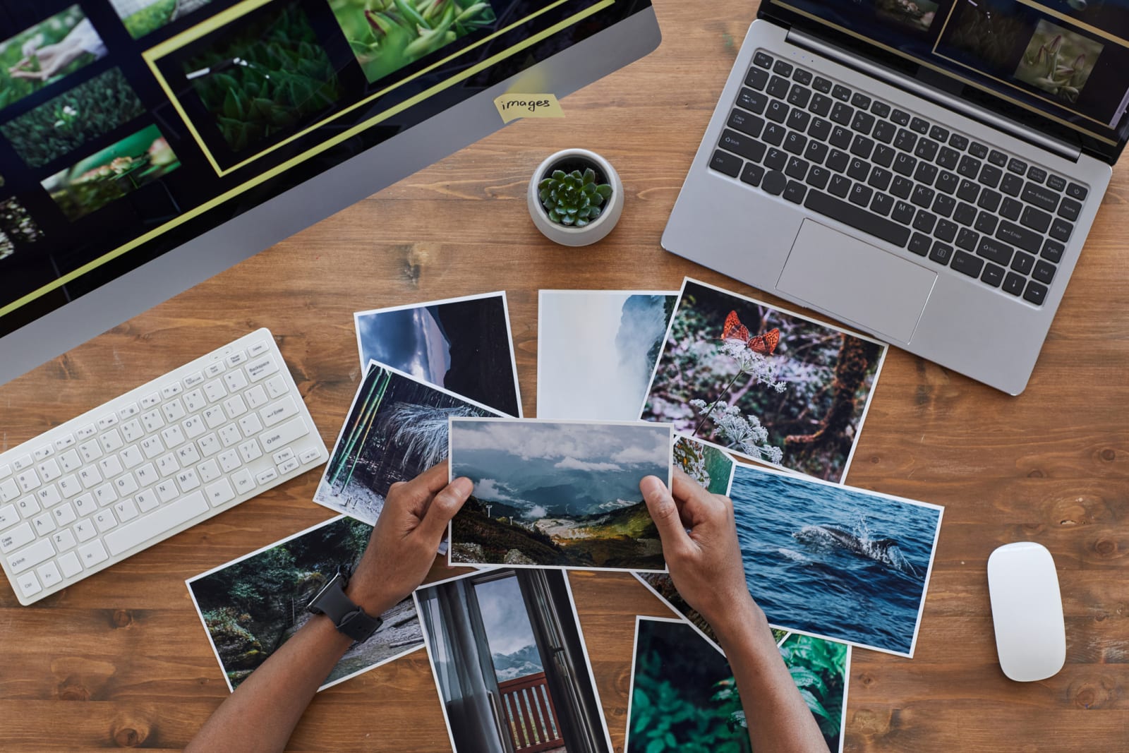 Outreach Lab Design The Importance of Graphic Design and Photography in Advertising | GCU Blog