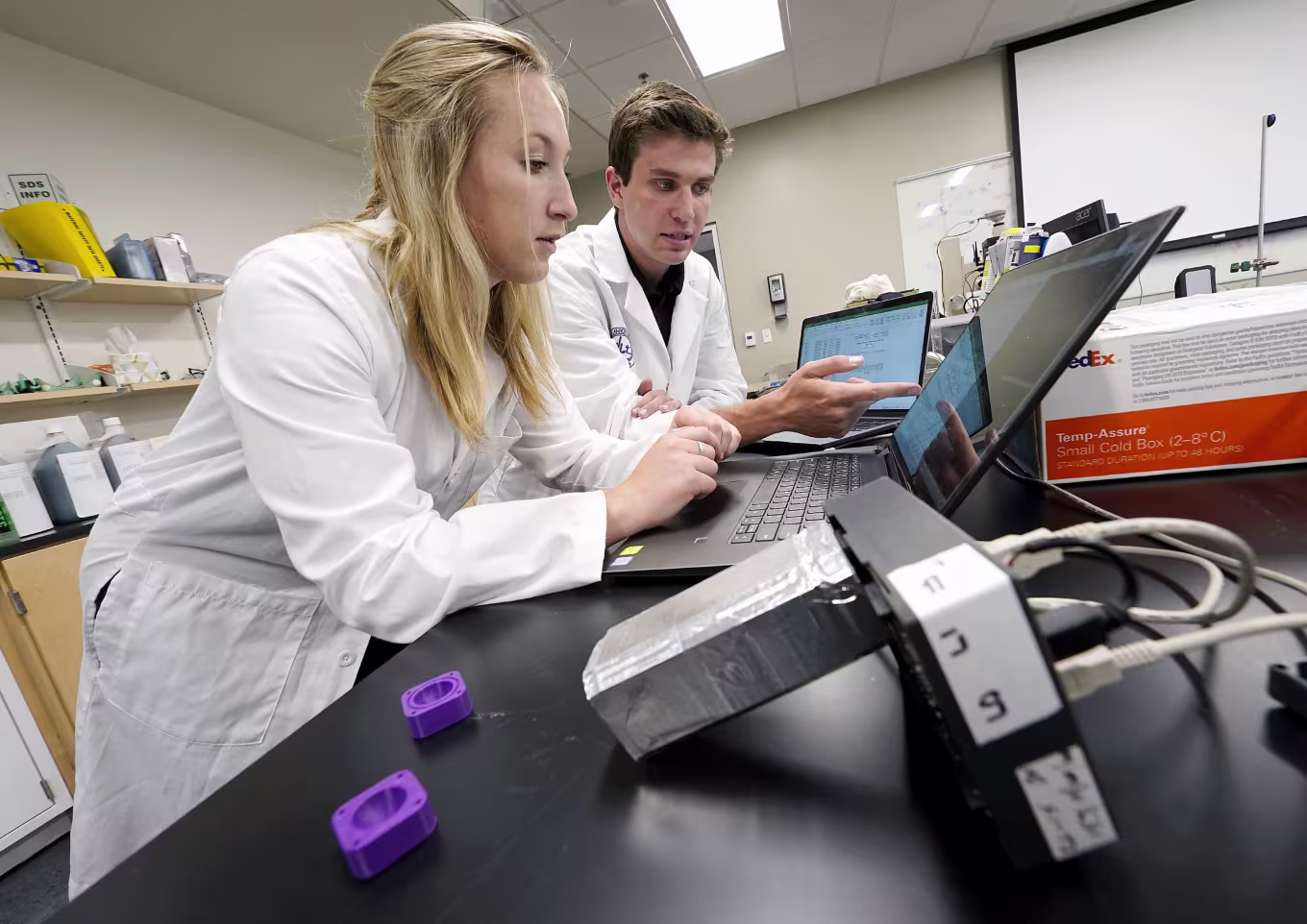 Environmental science student and professor using computer