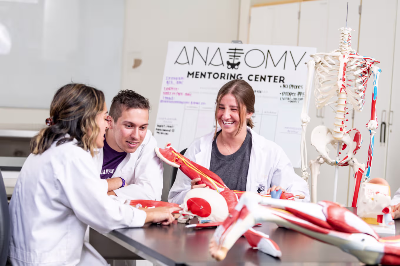 undergraduate biology students discuss muscular groups on a dummy skeleton while wearing white lab coats in an anatomy lab