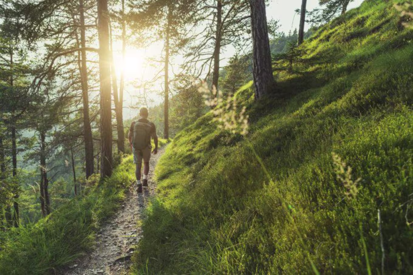 person hiking and sun shining