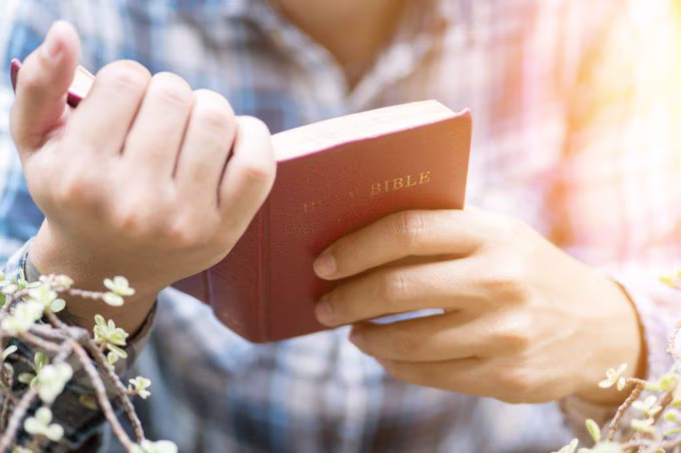 person outside reading