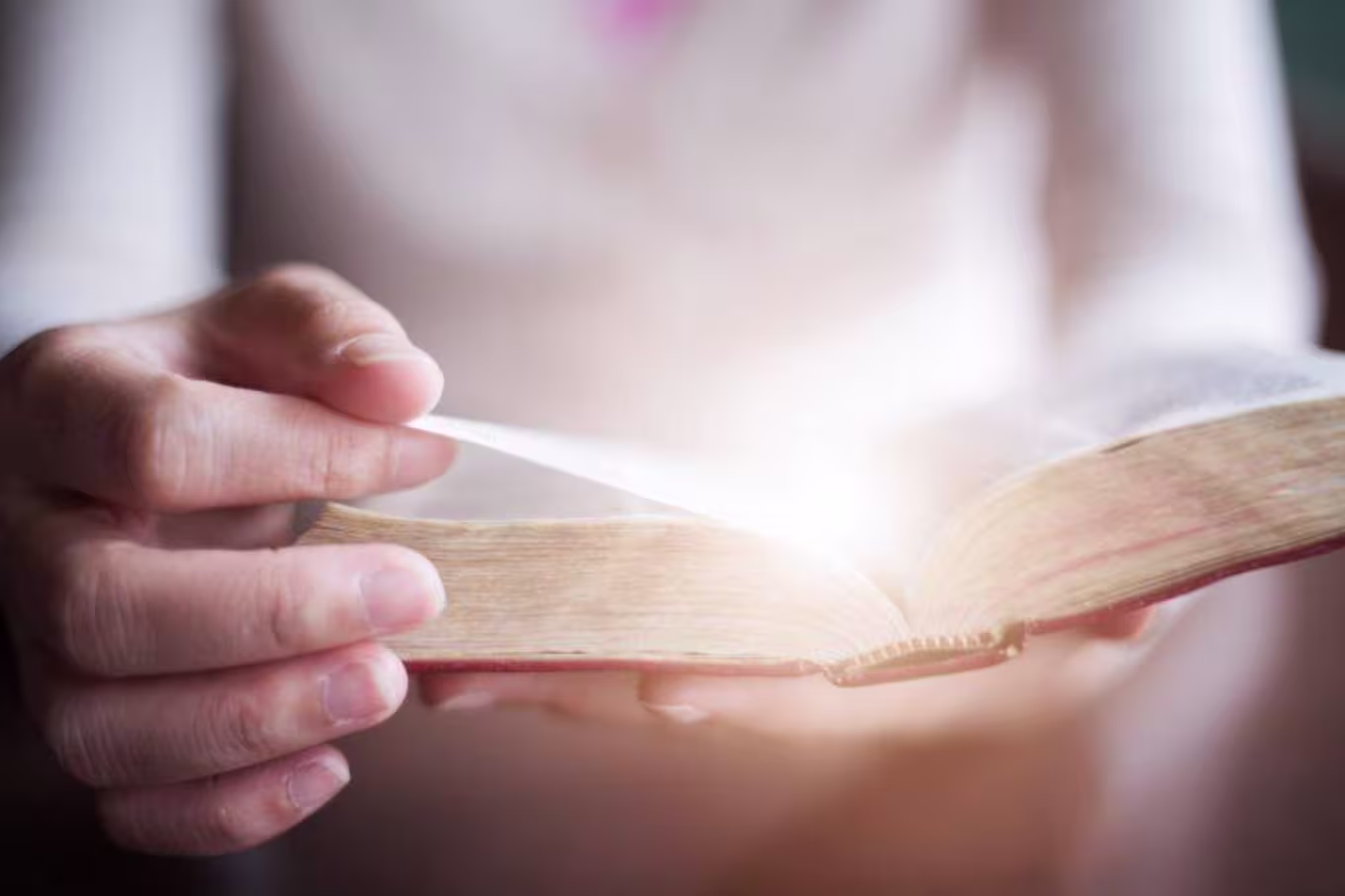 person reading the bible