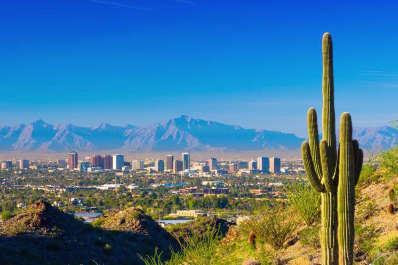 View of the city of Phoenix