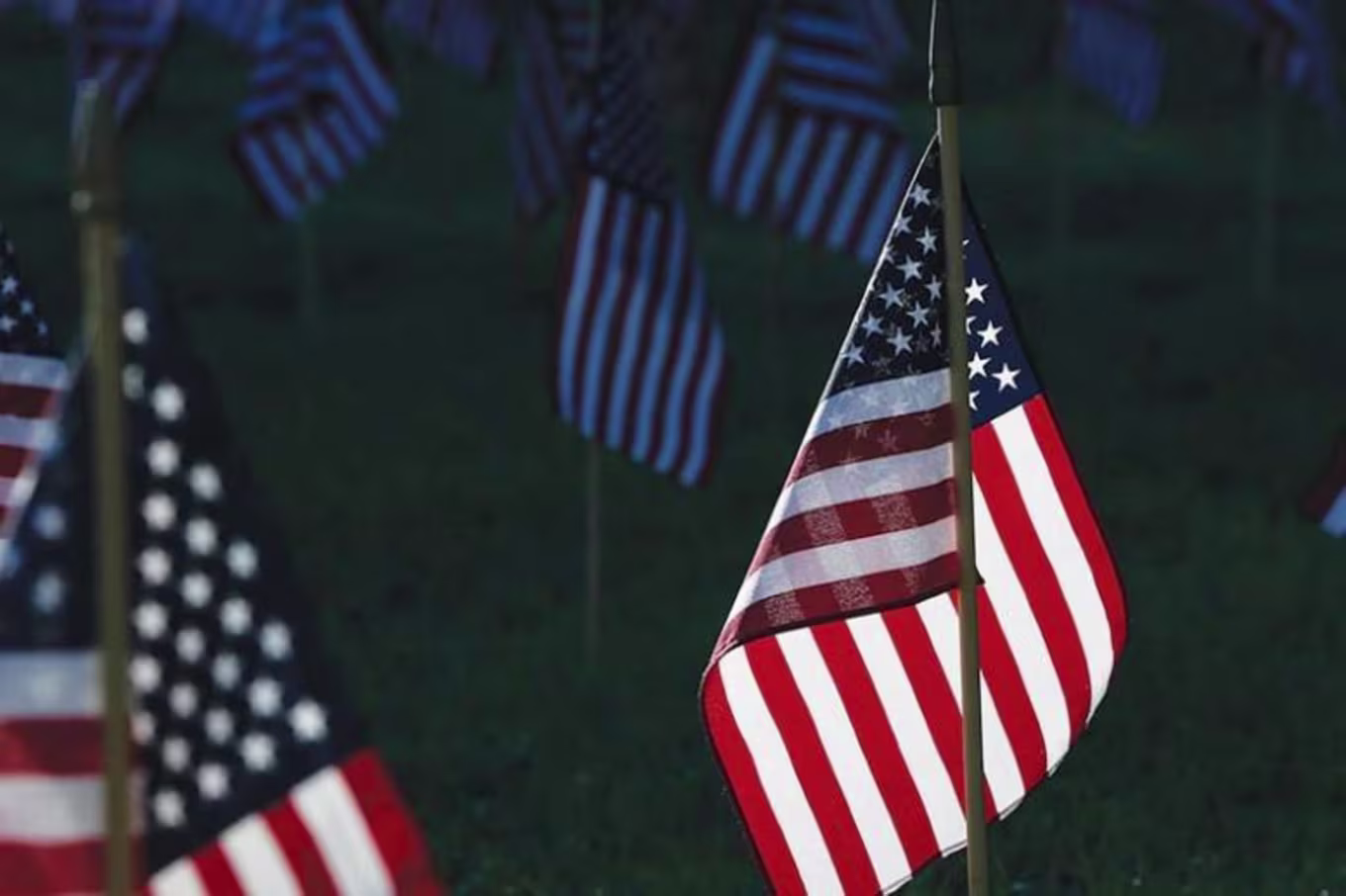 American flags outside in the sun