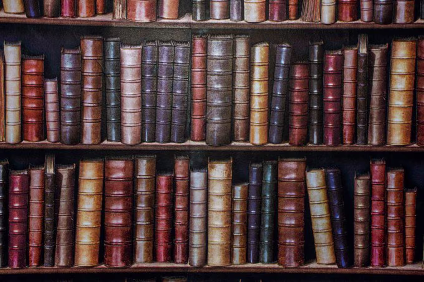 Shelf of antique books