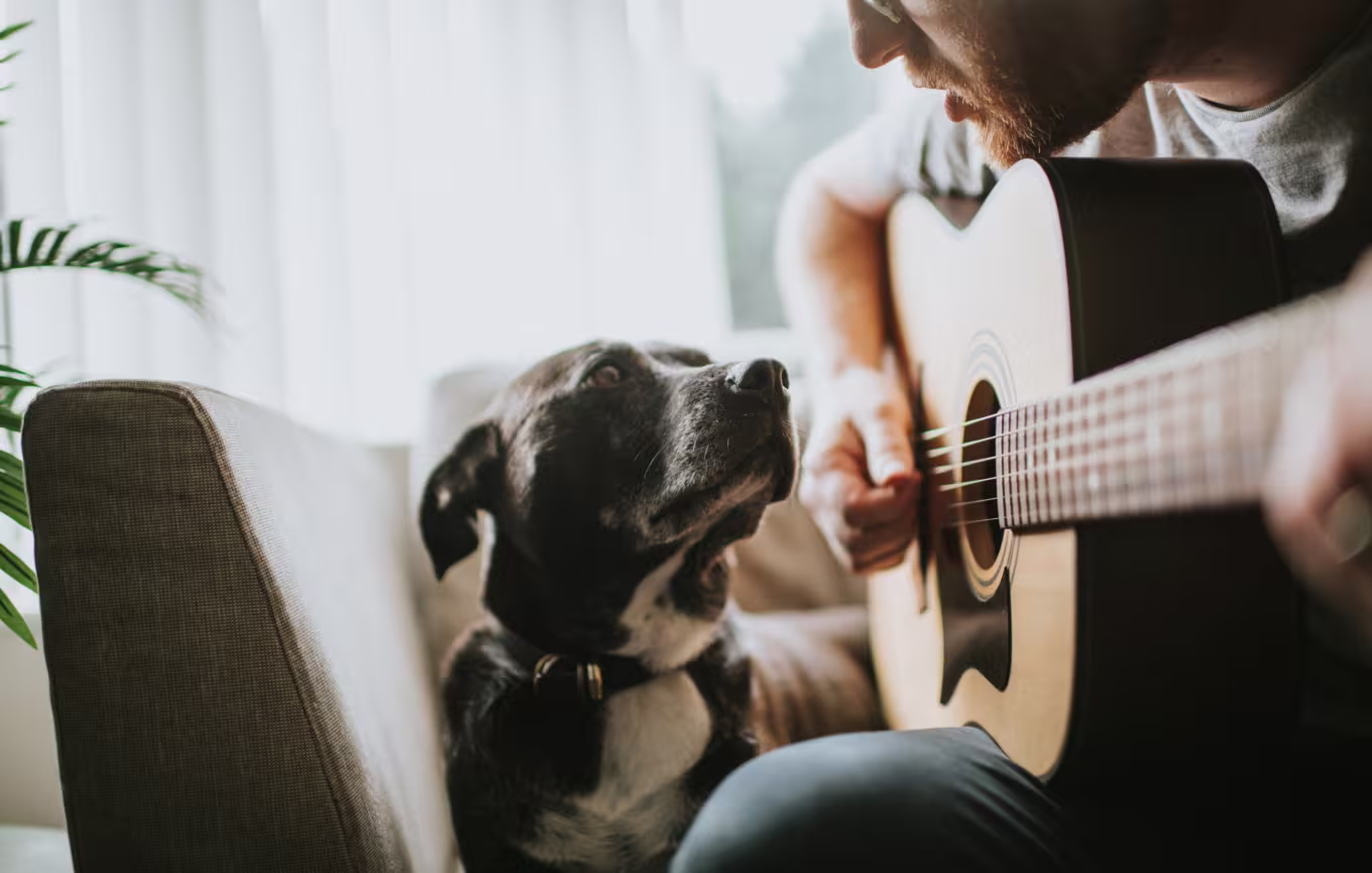 Healthy singing Voice