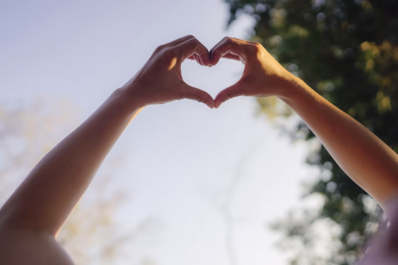 Two hands come together to form a heart shape against a beautiful backdrop of a clear sky and tree branches. - stock photo