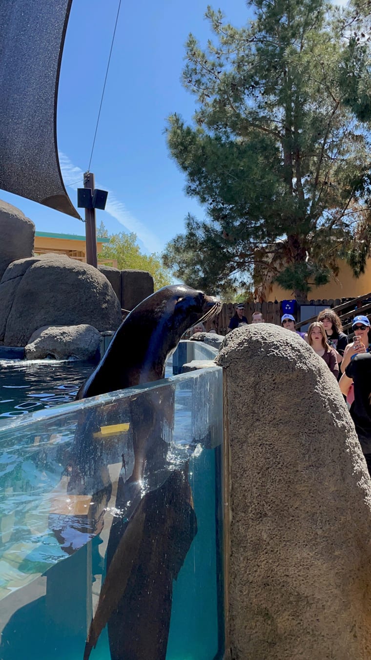 Alumni Events Calendar GCU Alumni Alumni Events Calendar GCU Alumni