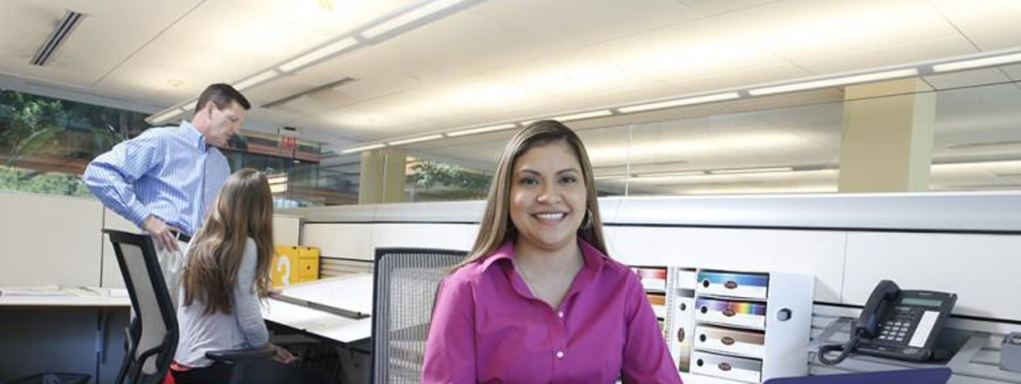 Employee working in cubical
