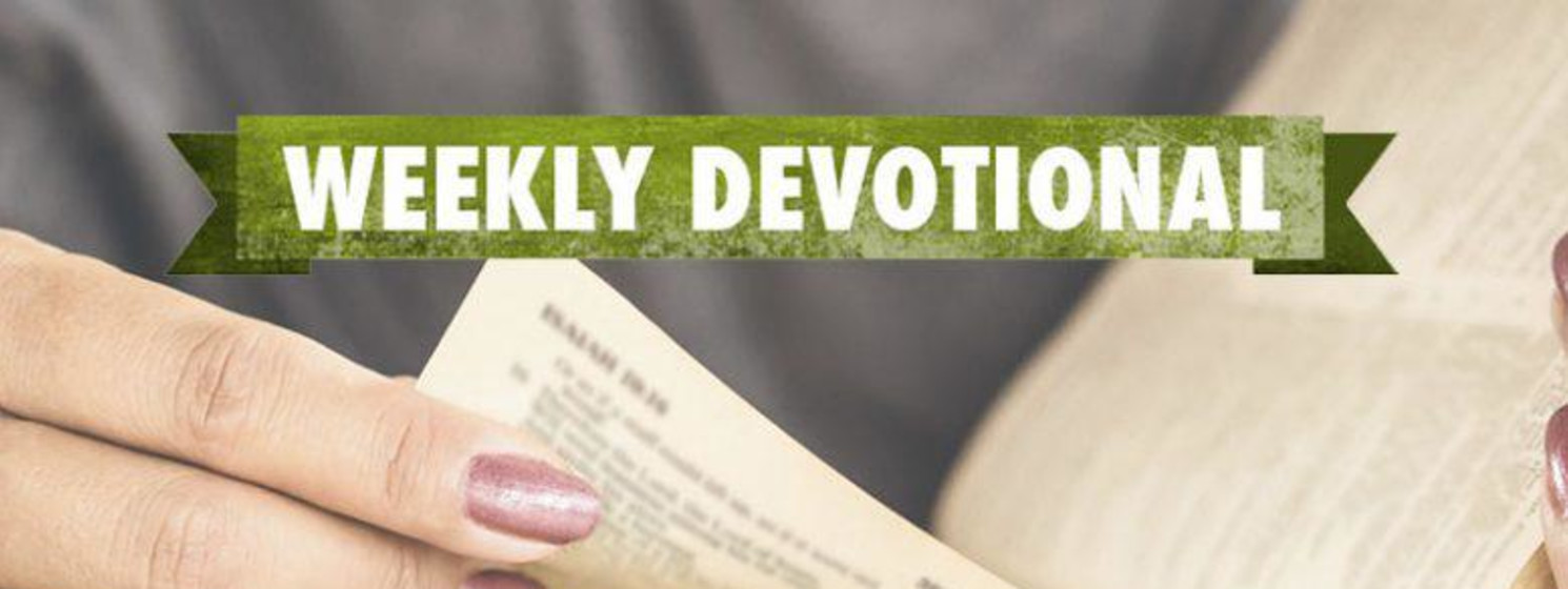 hand flipping through Bible