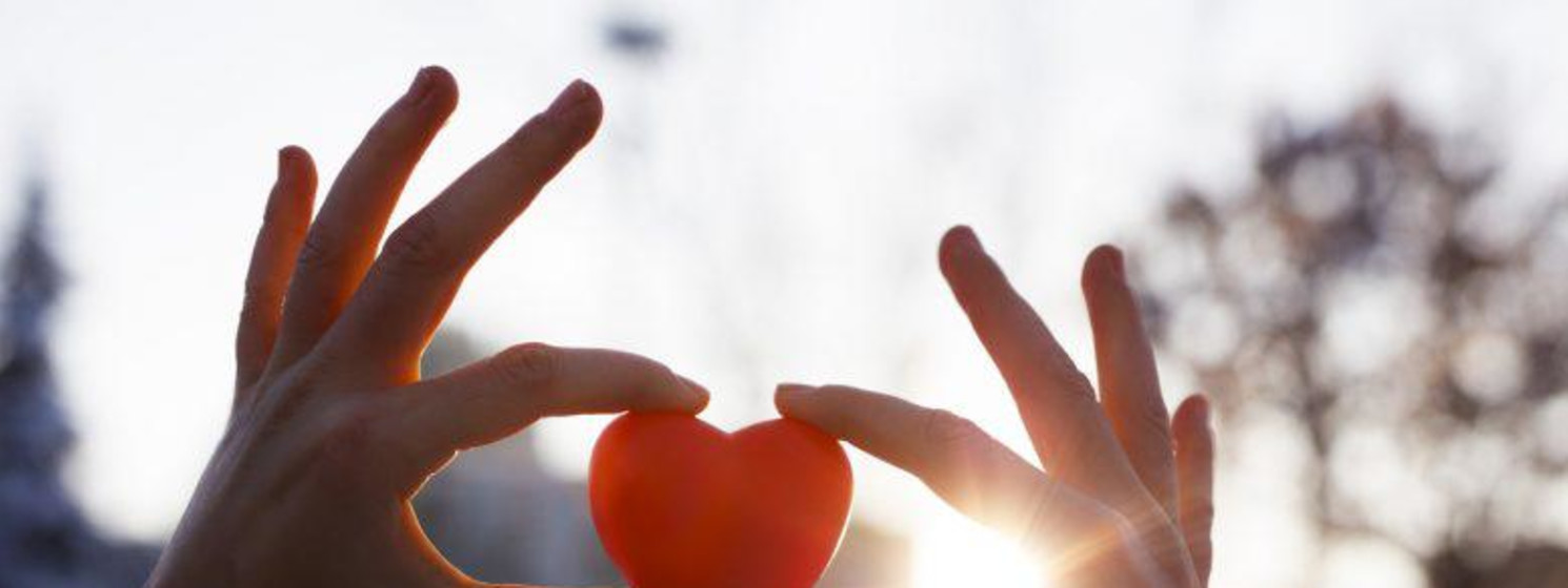 person holding up a heart